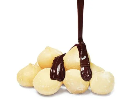 Chocolate and macadamia nuts Stock Photos