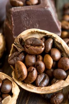 Chocolate and walnuts Stock-Fotos