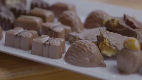 Chocolate animals dessert Stock Footage 74067659