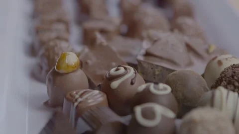 Chocolate animals dessert Video stock 74067682