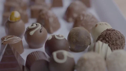 Chocolate animals dessert Stock Footage 74068147