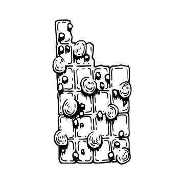 Chocolate bar with nuts sketch. Yummy candy. Delicious dessert. Cocoa product Stock-Illustration