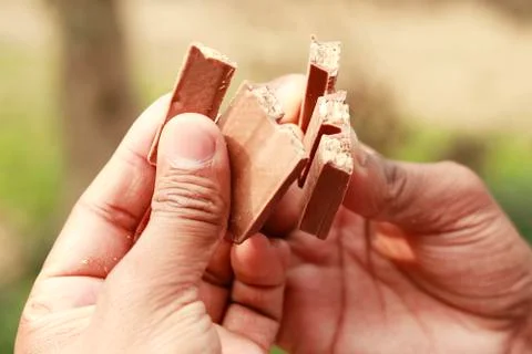 Chocolate bark on hands Stock Photos