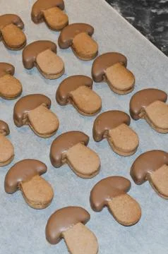 Chocolate biscuits on a baking paper Foto stock