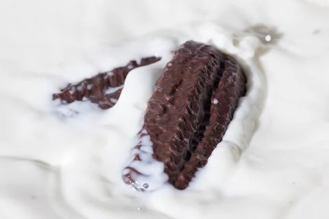 Chocolate biscuits in milk Foto stock