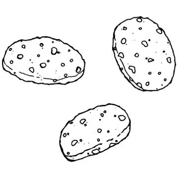 Chocolate biscuits with nuts. Vector illustration of cookies with chocolate a Illustrazione stock