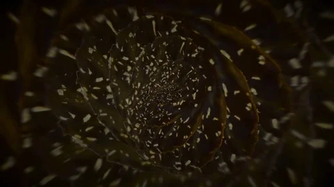 Chocolate Biscuits Seamless Loop Video stock 71814889