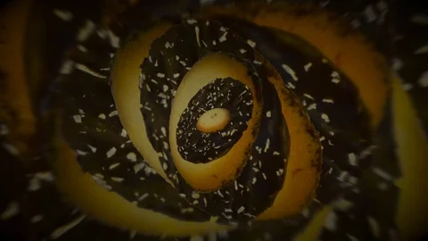 Chocolate Biscuits Spinning Seamlessly Stock Footage 71814847