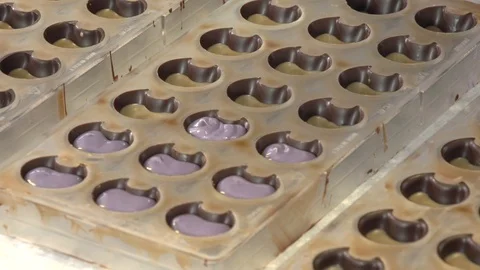 Chocolate in a box Stock Footage 101523032