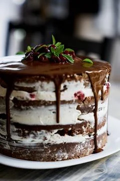 Chocolate brownie cake with cherries and mint leaves. Close up Stock Photos