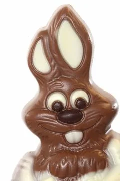 Chocolate bunny for easter decorations Stock Photos