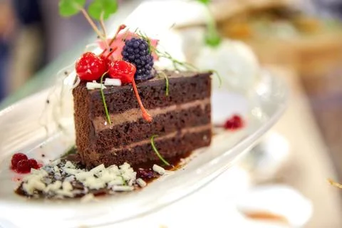Chocolate cake with berries in liquid nitrogen Stock Photos