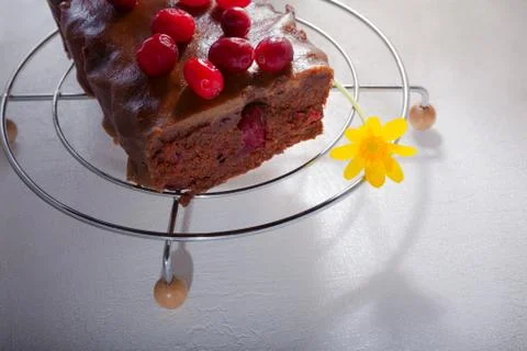 Chocolate cake with cranberries Stock Photos