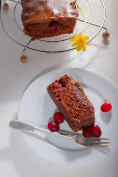 Chocolate cake with cranberries Stock Photos
