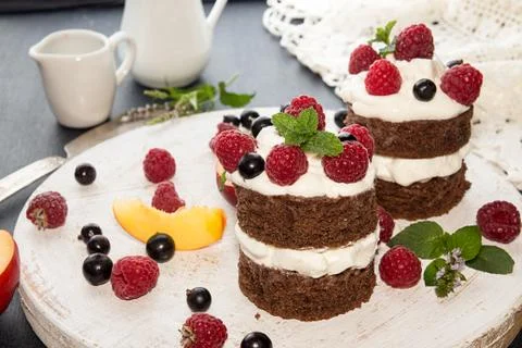 Chocolate cake decorated with raspberry, black currant, nectarine, wipped cre Stock Photos