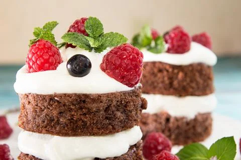 Chocolate cake decorated with raspberry, black currant, wipped cream and mint Stock Photos