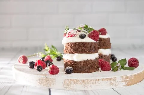 Chocolate cake decorated with raspberry, black currant, wipped cream and mint Stock Photos