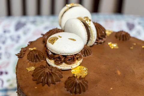 Chocolate cake with macarons Stock Photos