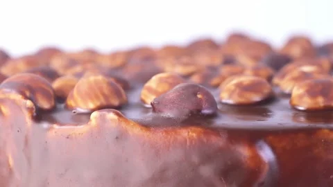 Chocolate cake with nuts. hazelnuts in chocolate. slowmo close-up Stock Footage 179081469