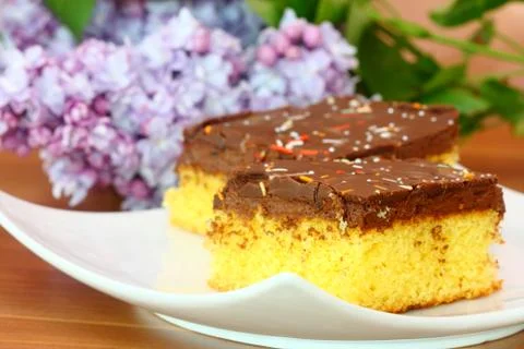 Chocolate cake Stock Photos