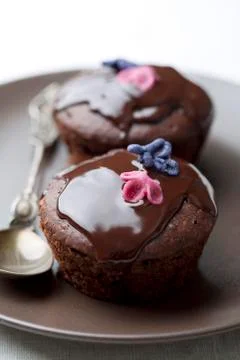 Chocolate cake Stock Photos