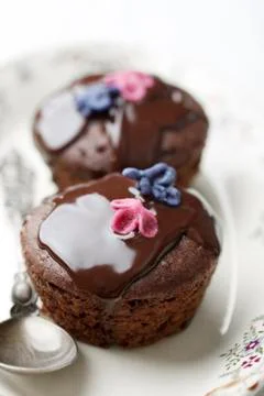 Chocolate cake Stock Photos