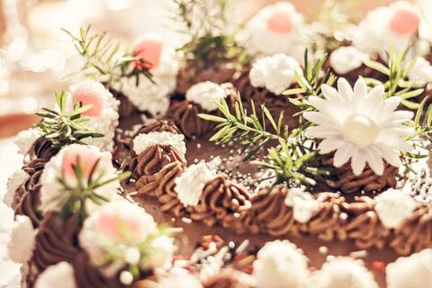 Chocolate cake Stock Photos