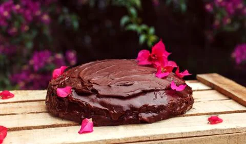 Chocolate cake Stock Photos
