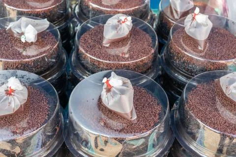 Chocolate cake Stock Photos