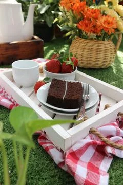 Chocolate cake Stock Photos