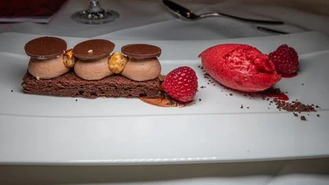 Chocolate cake with raspberry, hazelnut and ice cream. Delicious dessert. Stock Photos