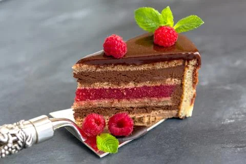 Chocolate cake with raspberry jelly. Stock Photos