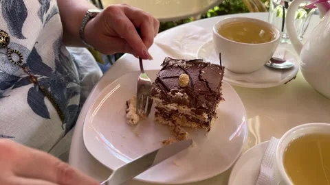 Chocolate cake slice Piece of sweet chocolate cake with coconut flakes and Stock Footage 313741516
