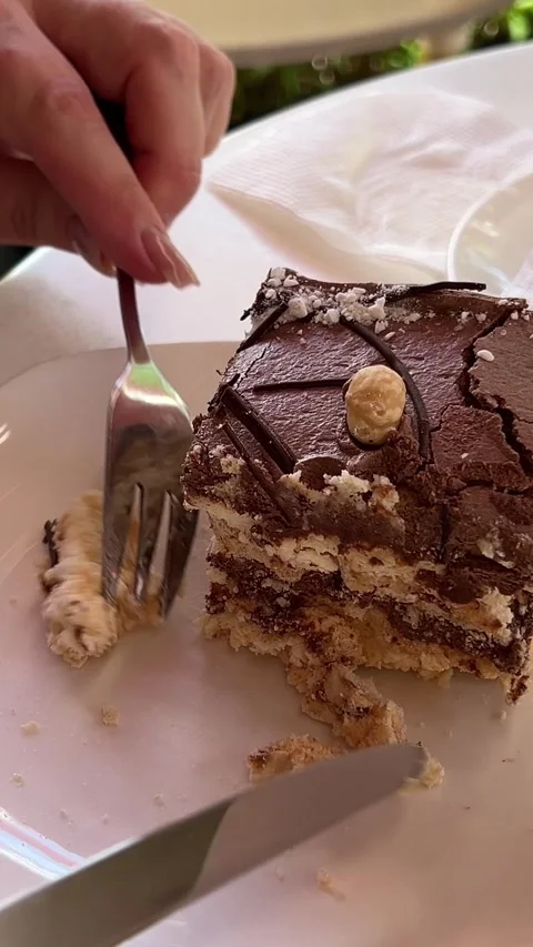 Chocolate cake slice Piece of sweet chocolate cake with coconut flakes and Stock Footage 313742138
