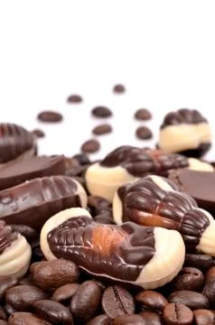 Chocolate candy with coffee beans on a white background . Stock Photos