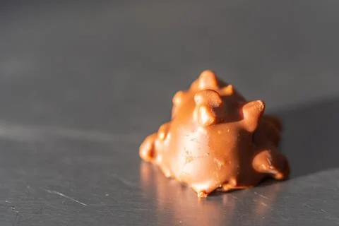 A chocolate candy with a dark background Stock Photos