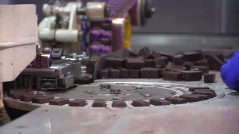 Chocolate candy packaging conveyor. Chocolate factory. Stock Footage 262623659
