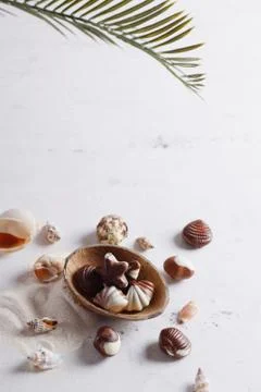Chocolate candy shell shape dessert sweets Stockfoto's