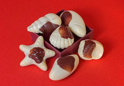 Chocolate candy shells on red background Stock Photos