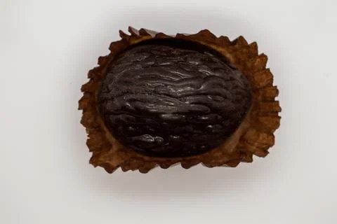Chocolate candy on a white gray background. Dark chocolate candy.Close-up Stock-Fotos