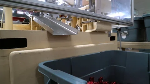 Chocolate candy is wrapped and dropped into bin by machine Stock Footage 108497473