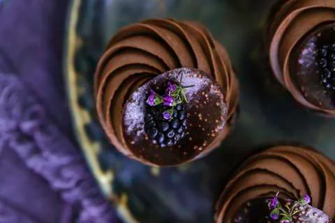 Chocolate cap cakes on a beautiful clay plate with blackberries on top as dec 스톡 사진