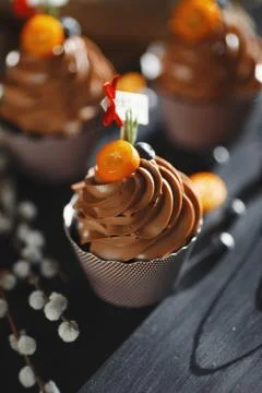 Chocolate capcake on a dark background decorated with kumquat and blueberries. Stock Photos