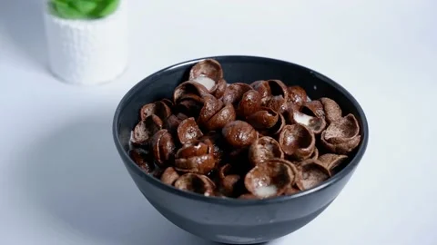Chocolate cereal with white milk Stock Footage 227981300