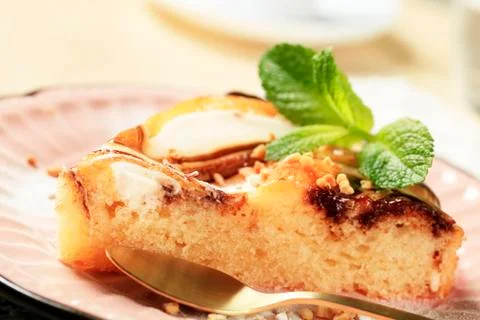 Chocolate cheese sponge cake Stock Photos
