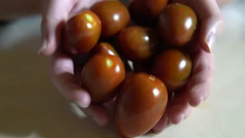Chocolate cherry tomatoes roll out of young girls hands Stock Footage 146553639