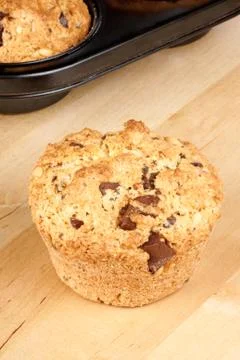 Chocolate chip and pine nut muffin Stock Photos