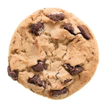 Chocolate chip cookie Stock Photos