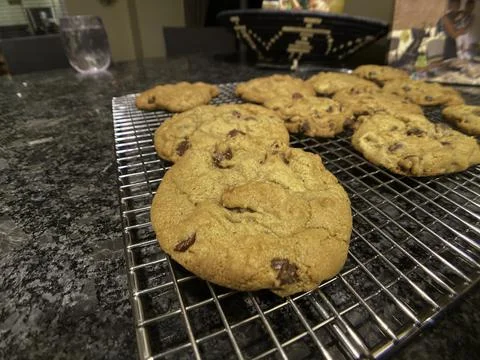 Chocolate Chip Cookie Stock Photos