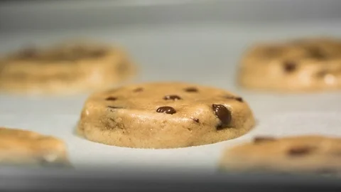 Chocolate Chip Cookie Time Lapse Baking Stock Footage 99319935